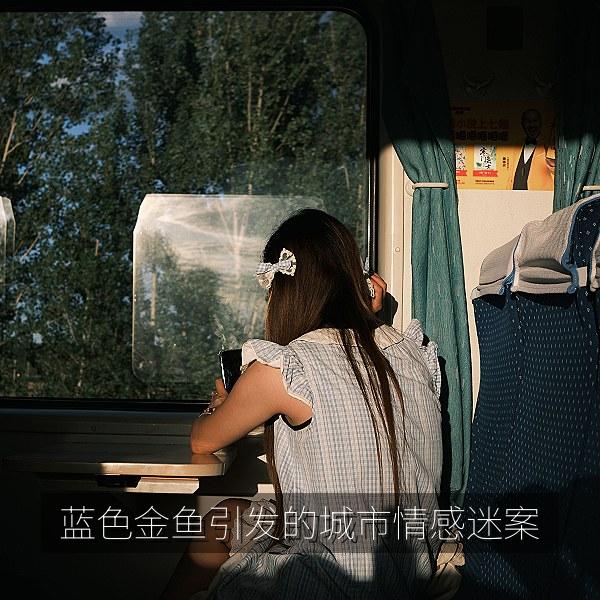 蓝色金鱼引发的城市情感迷案 海报
