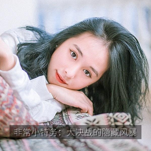 非常小特务：大决战的隐藏风暴 海报