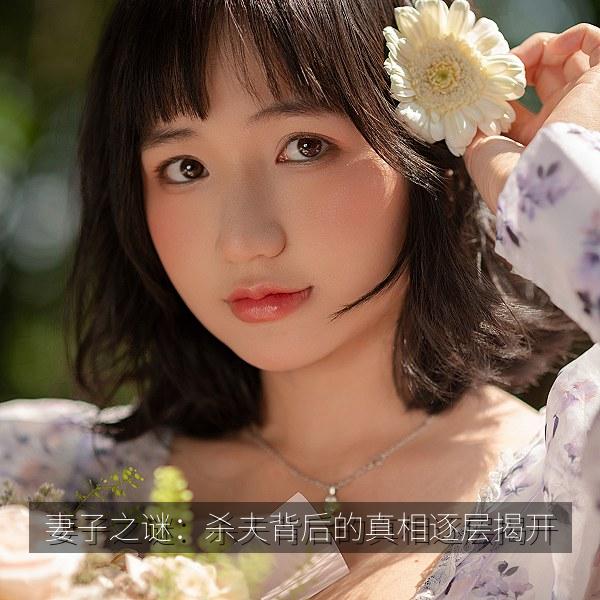 妻子之谜：杀夫背后的真相逐层揭开 封面
