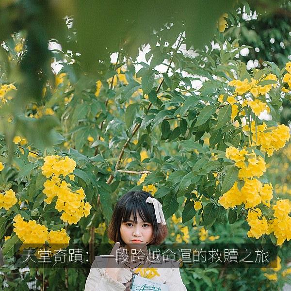 天堂奇蹟：一段跨越命運的救贖之旅