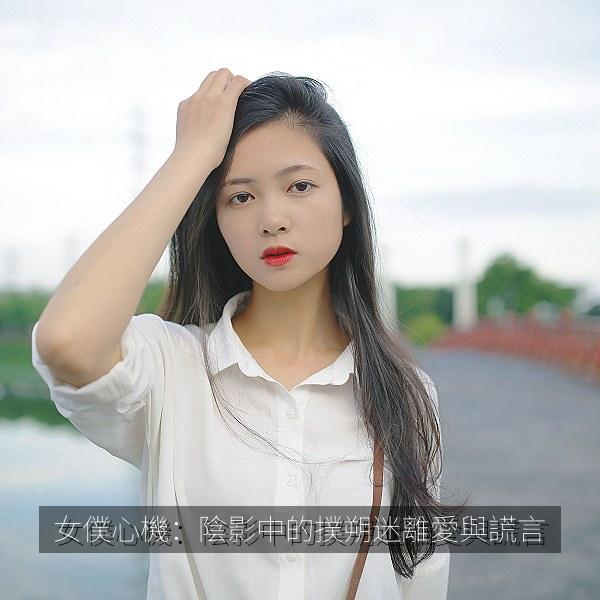 女僕心機：陰影中的撲朔迷離愛與謊言 海报