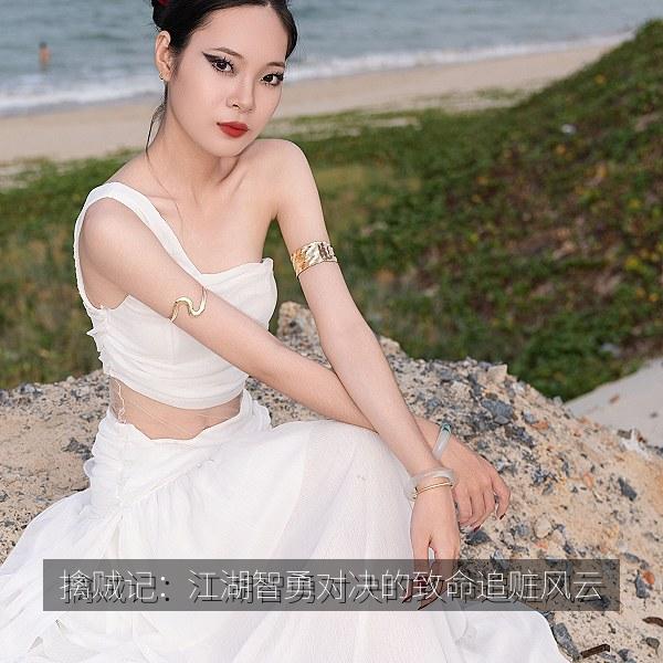 擒贼记：江湖智勇对决的致命追赃风云 海报