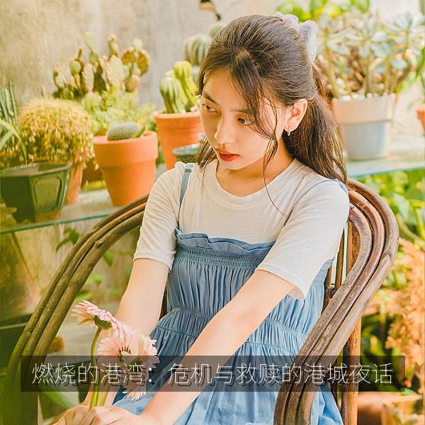 燃烧的港湾：危机与救赎的港城夜话 海报