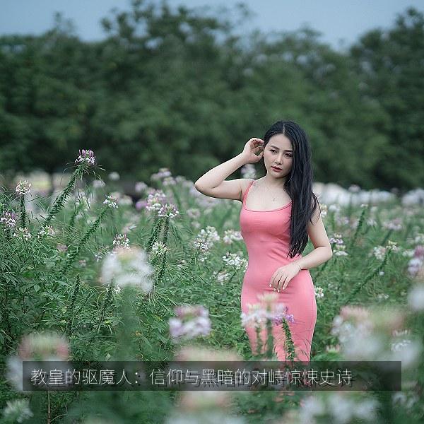 教皇的驱魔人：信仰与黑暗的对峙惊悚史诗 海报