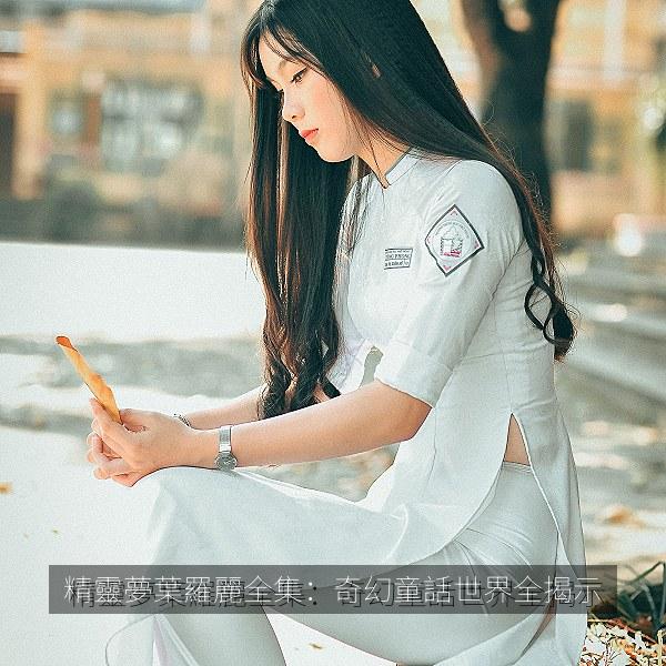精靈夢葉羅麗全集：奇幻童話世界全揭示 海报