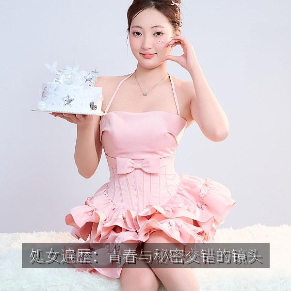 処女遍歴：青春与秘密交错的镜头 海报