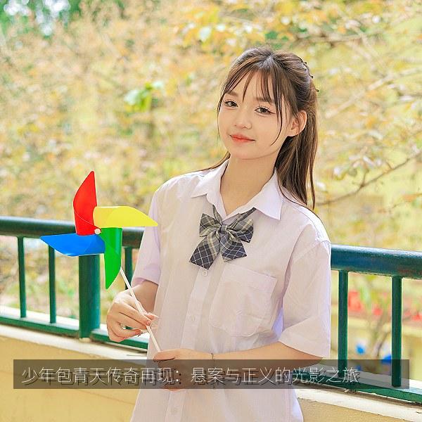 少年包青天传奇再现：悬案与正义的光影之旅相关影视海报