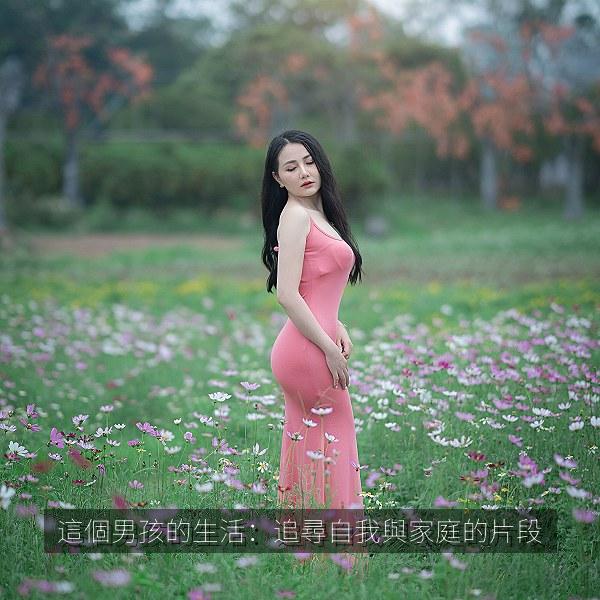 這個男孩的生活：追尋自我與家庭的片段