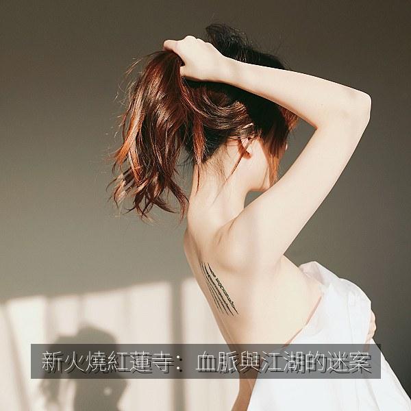 新火燒紅蓮寺：血脈與江湖的迷案相关影视海报