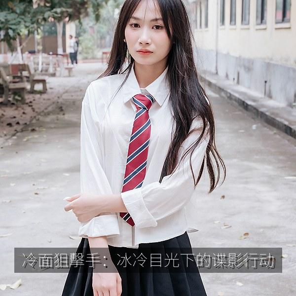 冷面狙擊手：冰冷目光下的谍影行动 海报