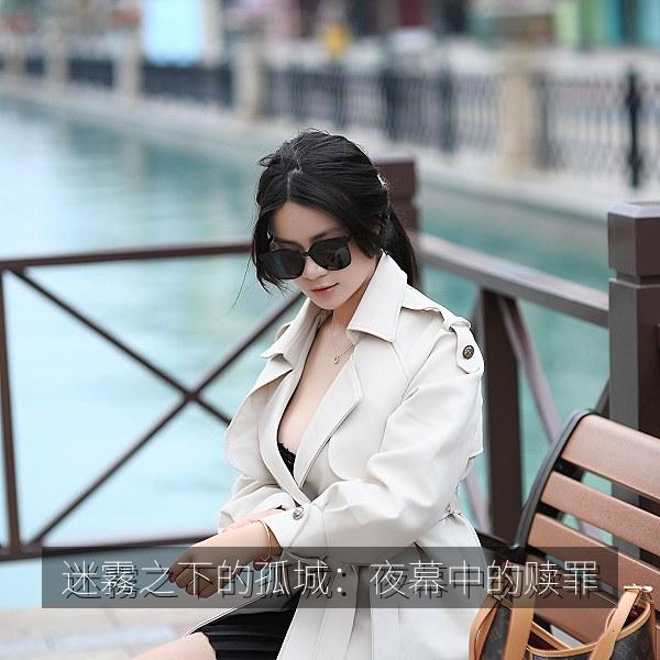 迷霧之下的孤城：夜幕中的赎罪