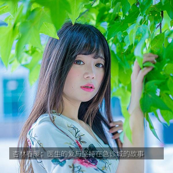 杏林春暖：医生的爱与坚持在急诊城的故事