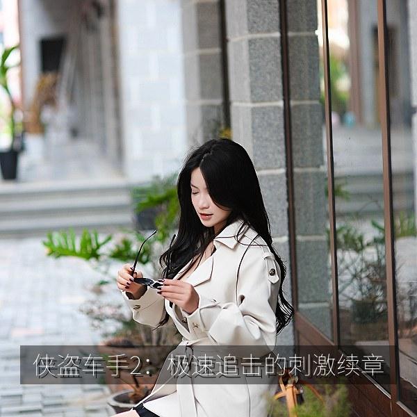 侠盗车手2:极速追击的刺激续章