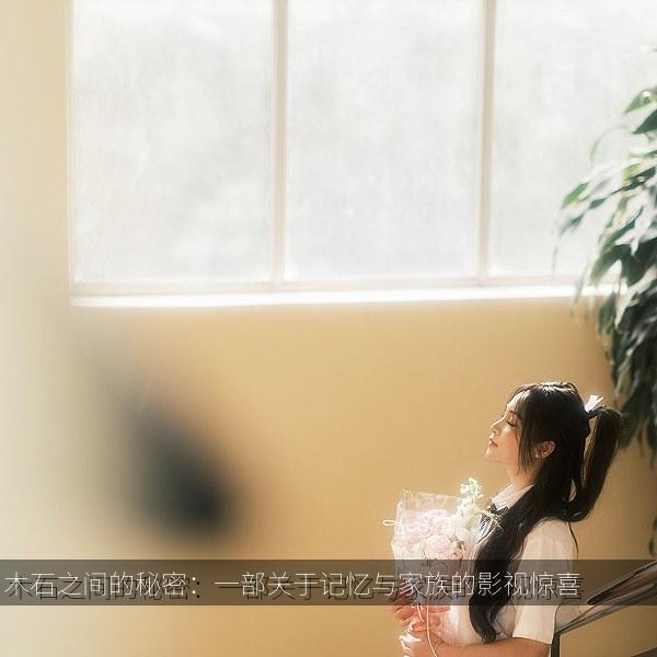 木石之间的秘密：一部关于记忆与家族的影视惊喜