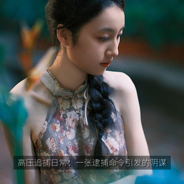 高压追捕日常：一张逮捕命令引发的阴谋 海报