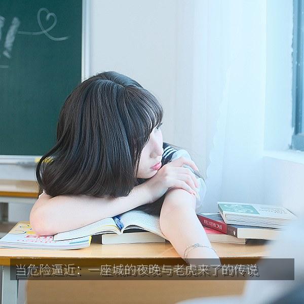 当危险逼近：一座城的夜晚与老虎来了的传说