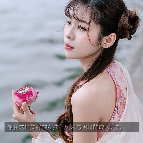 像我这样美好的女孩：风采与困境的成长之旅 海报