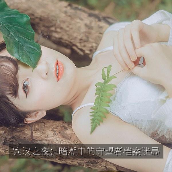 宾汉之夜：暗潮中的守望者档案迷局