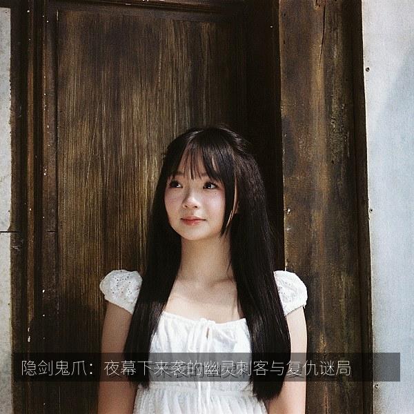 隐剑鬼爪：夜幕下来袭的幽灵刺客与复仇谜局 封面