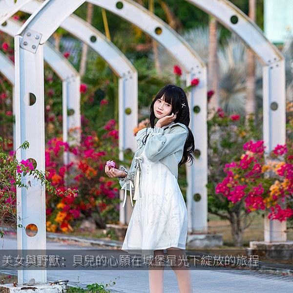 美女與野獸：貝兒的心願在城堡星光下綻放的旅程相关影视海报