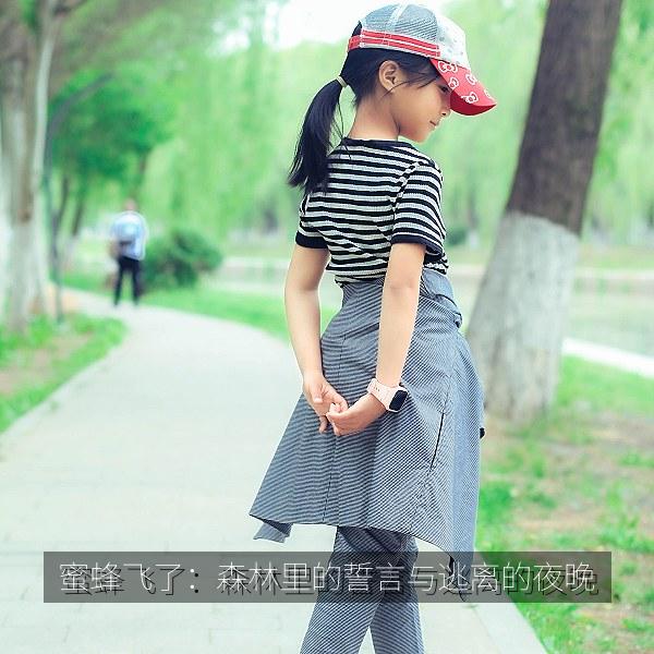蜜蜂飞了：森林里的誓言与逃离的夜晚 海报