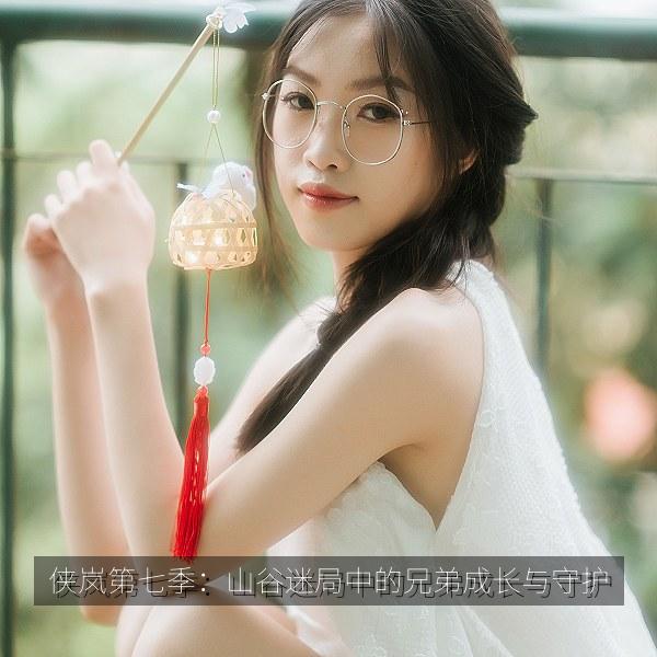 侠岚第七季：山谷迷局中的兄弟成长与守护