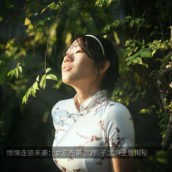 惊悚连锁来袭：女巫布莱尔2影子之书全景揭秘
