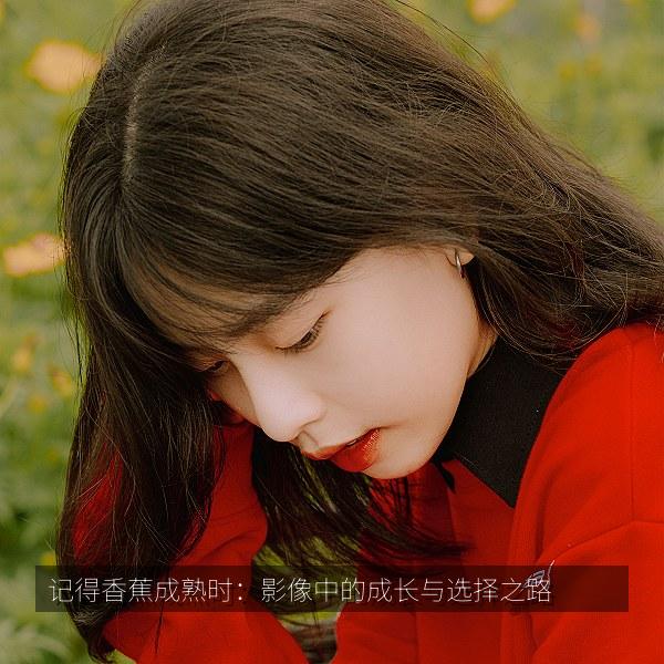 记得香蕉成熟时：影像中的成长与选择之路 海报