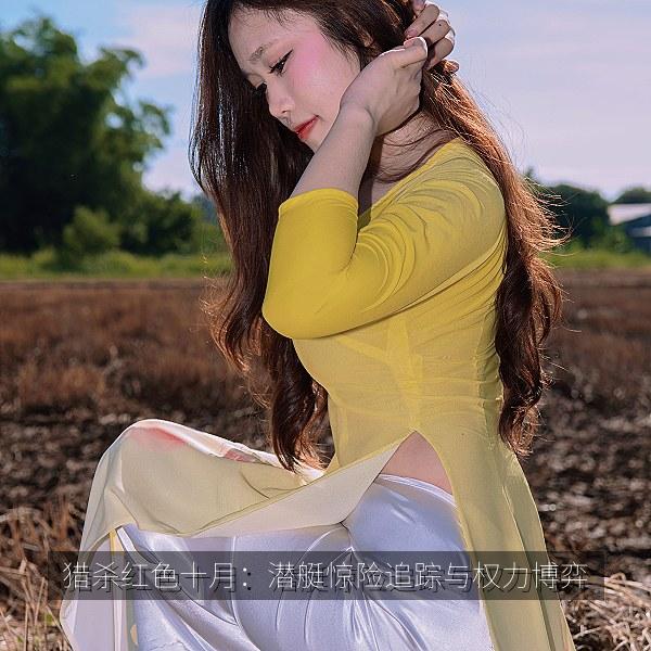 猎杀红色十月：潜艇惊险追踪与权力博弈 封面